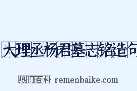 大理丞杨君墓志铭造句是什么意思的图片